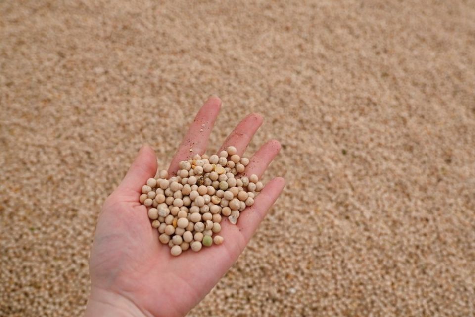 �� ��� ���� ��������� ����������� ����� �� ��������