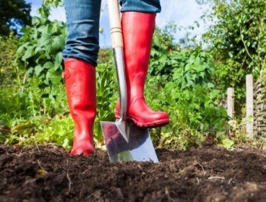 ��� ������� ��������� ������� �� ���� � ����� ������