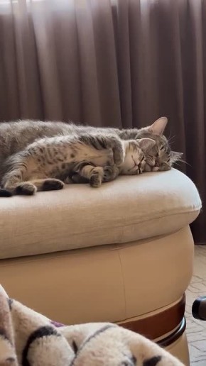 Доброе утро, Алтайский край!