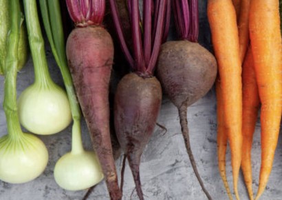 ������� ��������� ������: ��� ���������� �������, ������ � ���