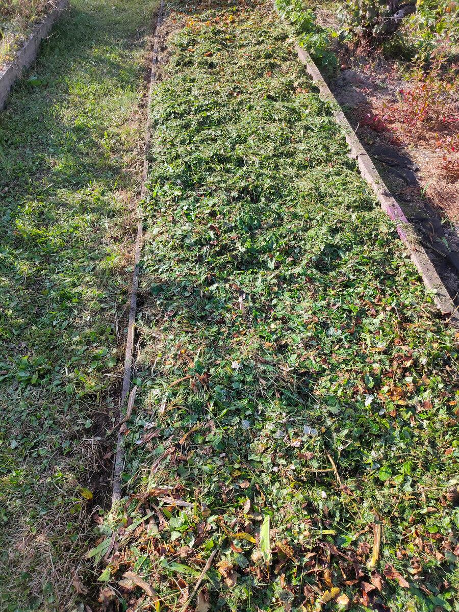 Избавимся от сорняков: как дачная жизнь становится проще и радостнее