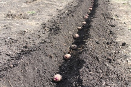 ������ ������ ������������ ������ ����� ����� �������� �������� ������