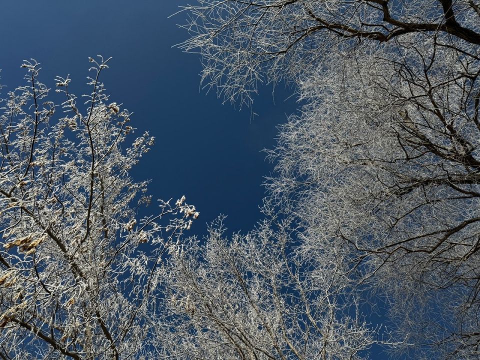 ������ ����, ��������!. ������� ���������� ����������