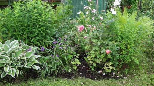 ��� ������� ����������� ������, ������� ������� ������������ �����