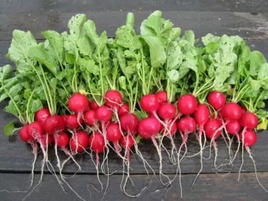 �������� ��� ������