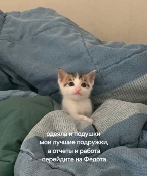 ������ ����, ��������� ����!�