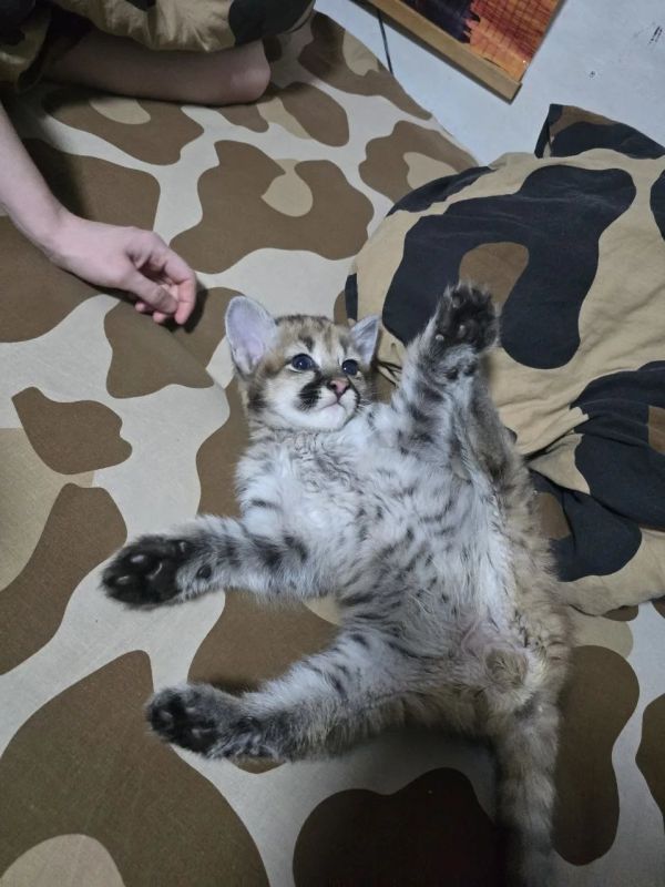 ������ �������� ���� ���� ��������� ���� � ������������ ��������