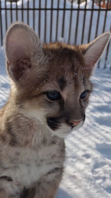 ������ �������� ���� ���� ��������� ���� � ������������ ��������