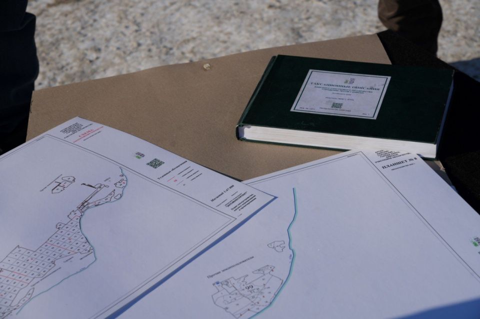 Под контролем и в рамках закона