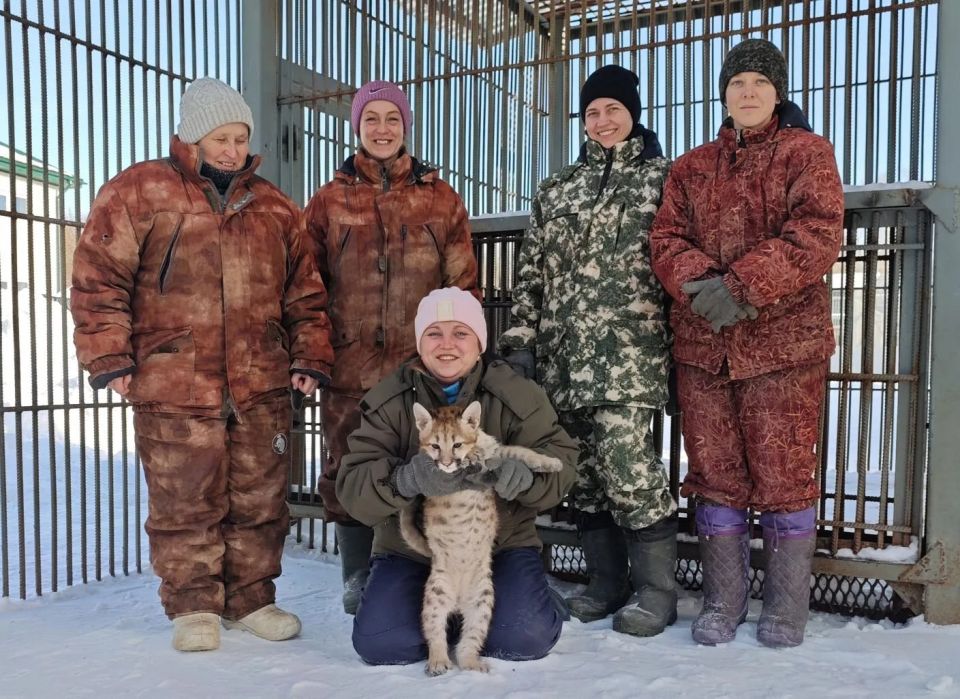 ������ �������� ���� ���� ��������� ���� � ������������ ��������