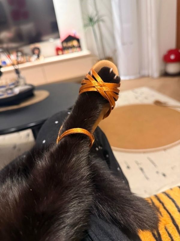 ������ ����, ��������� ����!�