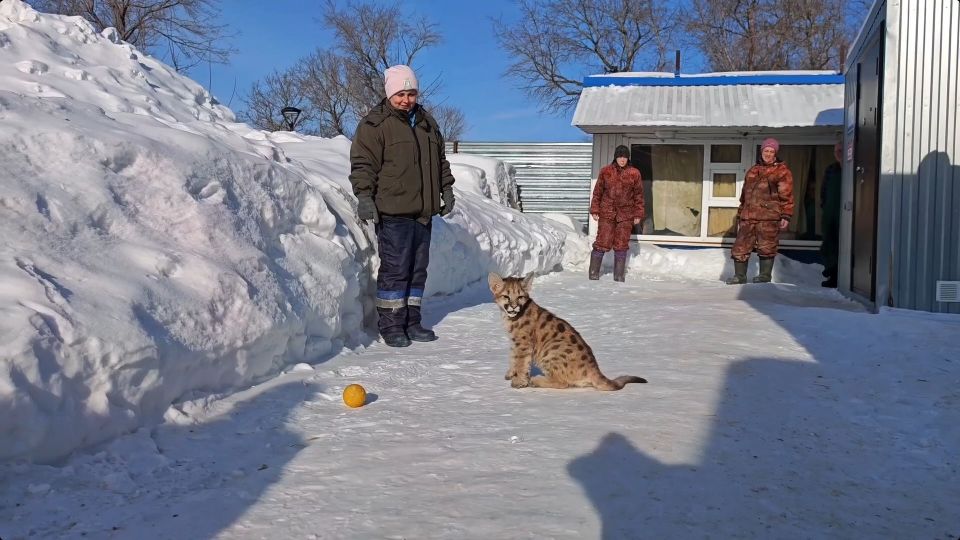 ������ �������� ���� ���� ��������� ���� � ������������ ��������