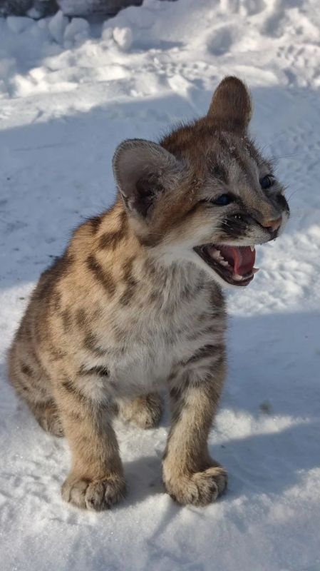 ������ �������� ���� ���� ��������� ���� � ������������ ��������