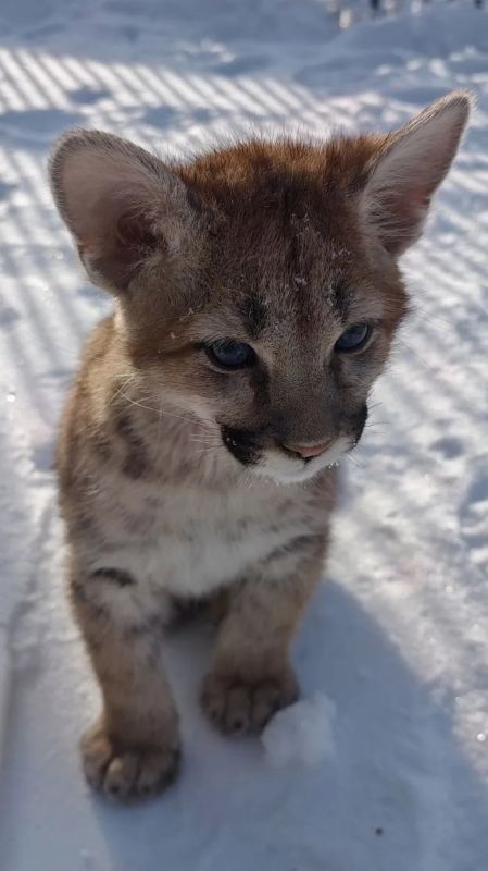 ������ �������� ���� ���� ��������� ���� � ������������ ��������