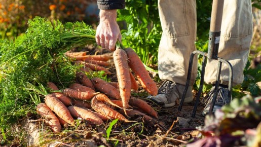 �������� ���, ���� ������� ���������� �����: ������ ������������ �������