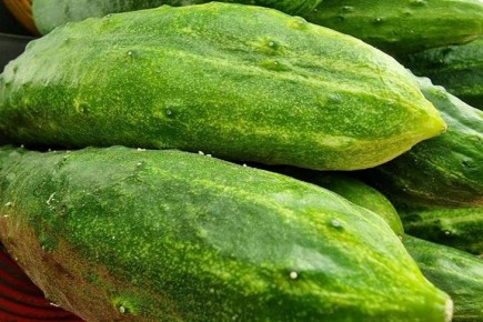 ������������ ����: ��� ��������� ��� ������������ � ����� �������� ���� � ���� ����, ����� �������� ��������� ������