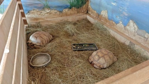 ���� ������� ������� ������� ����� ������� ������������� �������