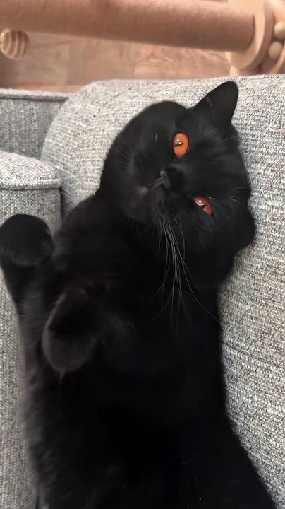 ������ ����, ��������� ����!�