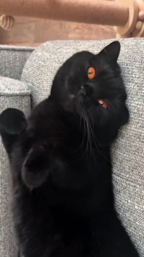 ������ ����, ��������� ����!�