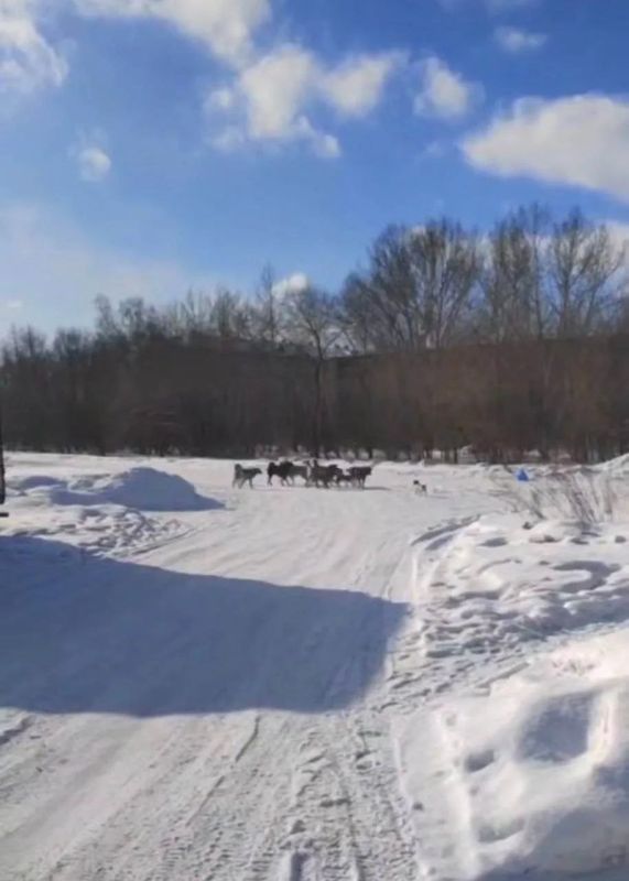 ���� ��������� ������������