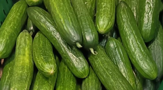 � ������ � ������ ���� ���������� ��������� ������� ������ ��������� ����� ����� ��� �� ������ �����