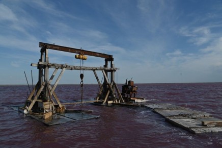 � ������� ���������� ������� ������� �� �������������, ������������ ������� ����� �� ������� ������� ���������������� ��������