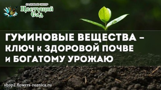 ��������� ��������: ������ �������� ����� � �������� ������