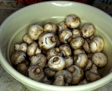 ����������� ������ ������ ������ �����������