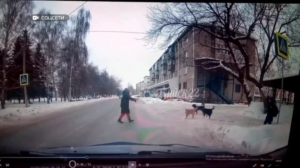 ���� ����� �� ��. ������ � ������ ������ �� ��������, ������������ ������