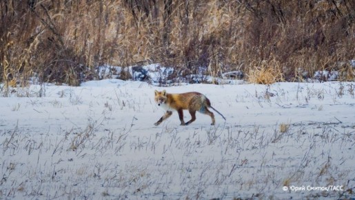 �������� ���������� �������� ����������� ���������� ������ ������� �� ������ �����, �������� ��������� �������