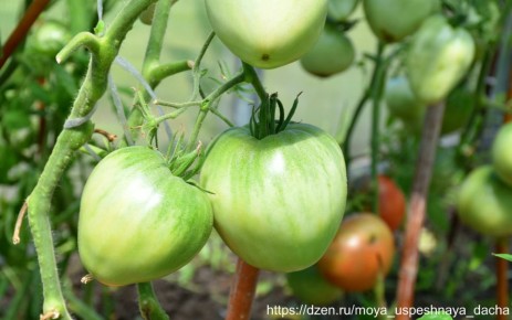 ����� ��������: ������������� � ������� �����, ������� ������� ���