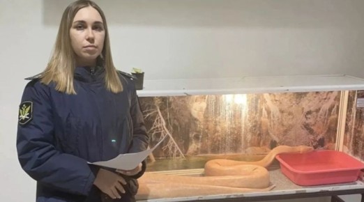 ��������� �������� � ������ ��������� ������� �������� �� ��������� ��������