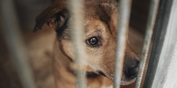 ������� ������� ���������� � ������� ������������� �������� � �������� ������