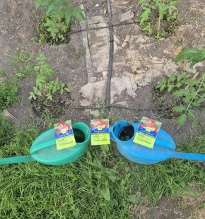 ������� �������� �������: ��� ������������� ��������� �� ������ �� ������