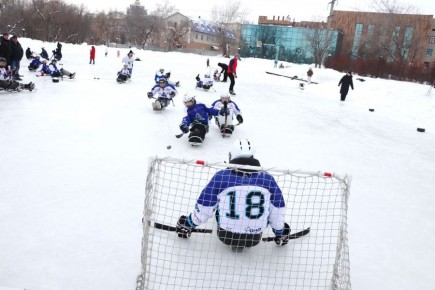 � �������� ������������ ������ ���������� ���� ������