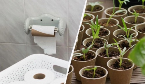 ����������� ������� ��� �������: ����� ������ ���������