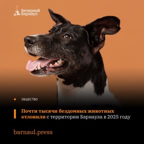 ������� 19 ��������� ������ �������� � 2025 ���� �� ������� �������� �� ������ �� ��������� � ��������� ��� ����������