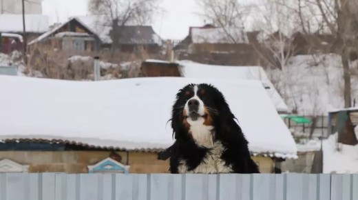 ������� ������������ �� ����������� ������ ������������� ��������