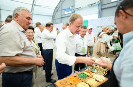 ������ �������: ���� �� �������������� ����������� ������������ ���������������� � ���������� �����������