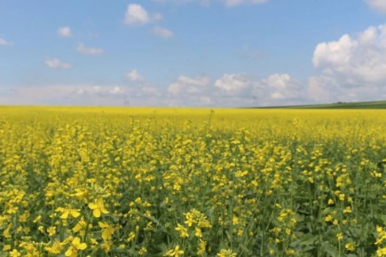 ���������� ����� ���� ������� �� ������������ ��������� ������� � 2025 ����