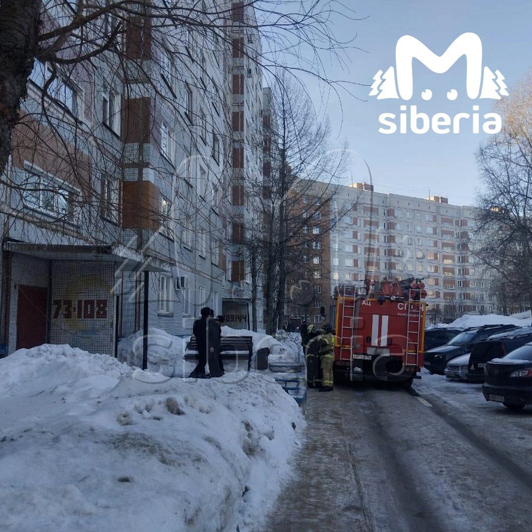 В Новосибирске мужчина забаррикадировался в квартире, поджег дверь и избил сожительницу