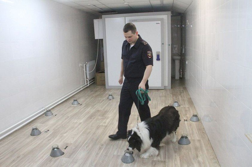 16 февраля - День поиска запахов