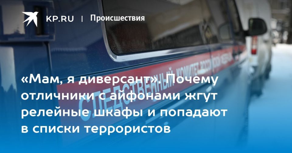 Заместитель руководителя контрольно-следственного отдела следственного управления СК России по Алтайскому краю Вадим Брауэр в интервью изданию "Комсомольская правда" рассказал о причинах вовлечения детей в диверсии и борьбе...
