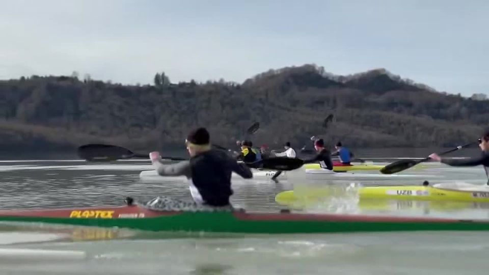 ������ ���������� ���� �������� ������-������������� ����� �� ����������� ���� ������ � �������