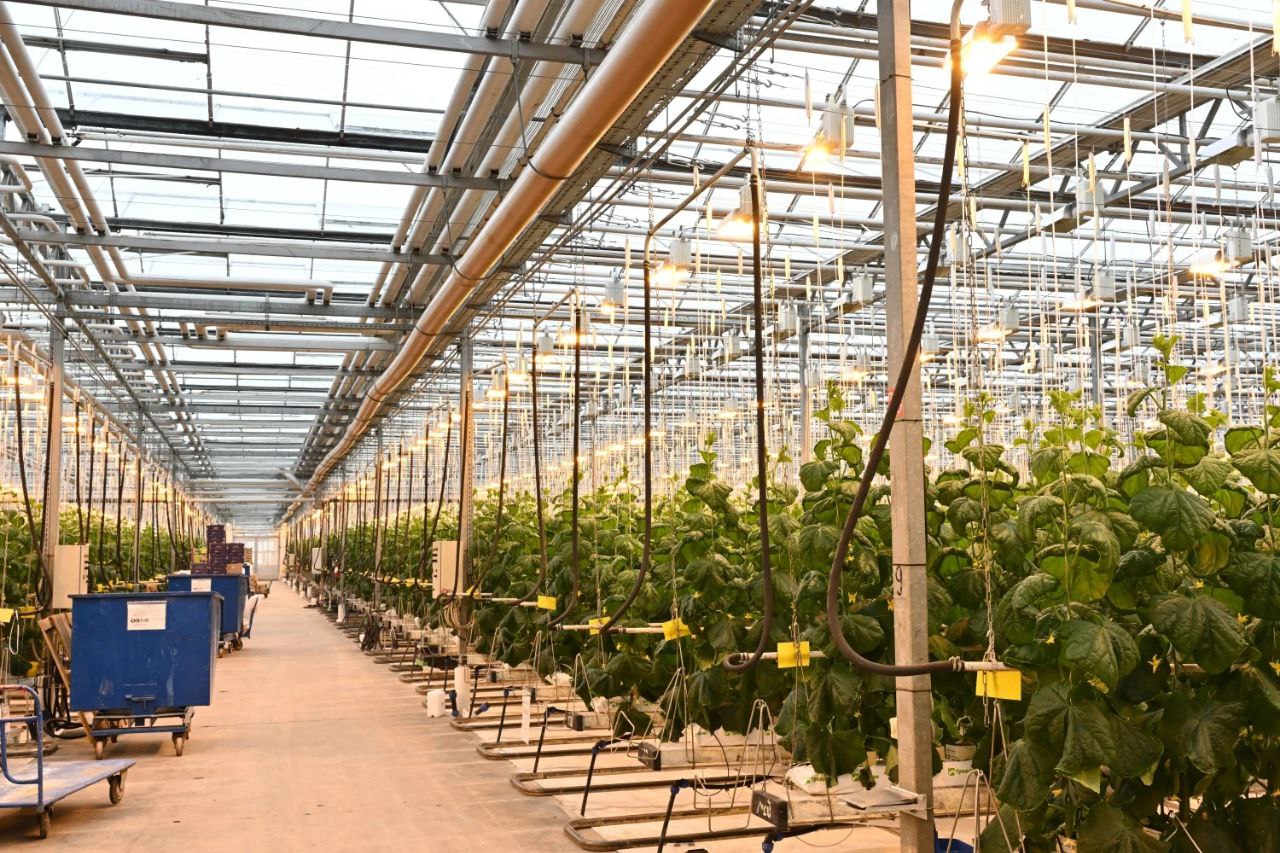 Делегация Восточно-Казахстанской области Республики Казахстан во главе с акимом области прибыла в Алтайский край с рабочим визитом Делегация Восточно-Казахстанской области Республики Казахстан во главе с акимом области прибыла в Алтайский край с рабочим визитом