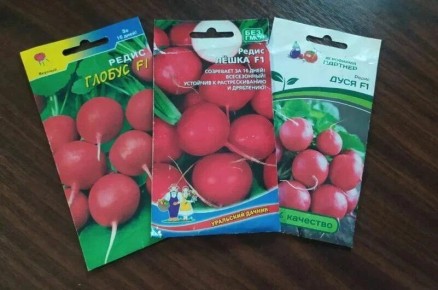 ����� �� ������ �������: ��� ������� ������ �����