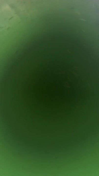 ������ ����, ��������� ����!