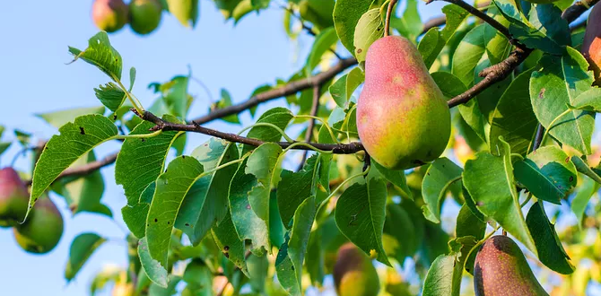 Когда начинать защиту сада от вредителей и болезней