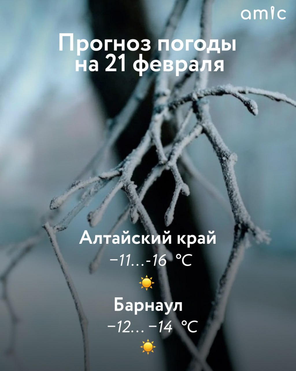 От -11 до -16 градусов ожидается в Алтайском крае днем 21 февраля, по югу местами -5...-10 градусов. Такой прогноз сделали синоптики регионального Гидрометцентра