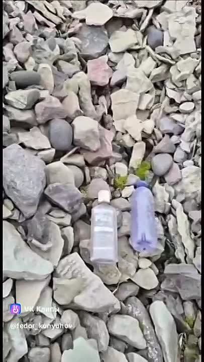 Ը��� ������� ������ ����� 100 �� �������� � ����������